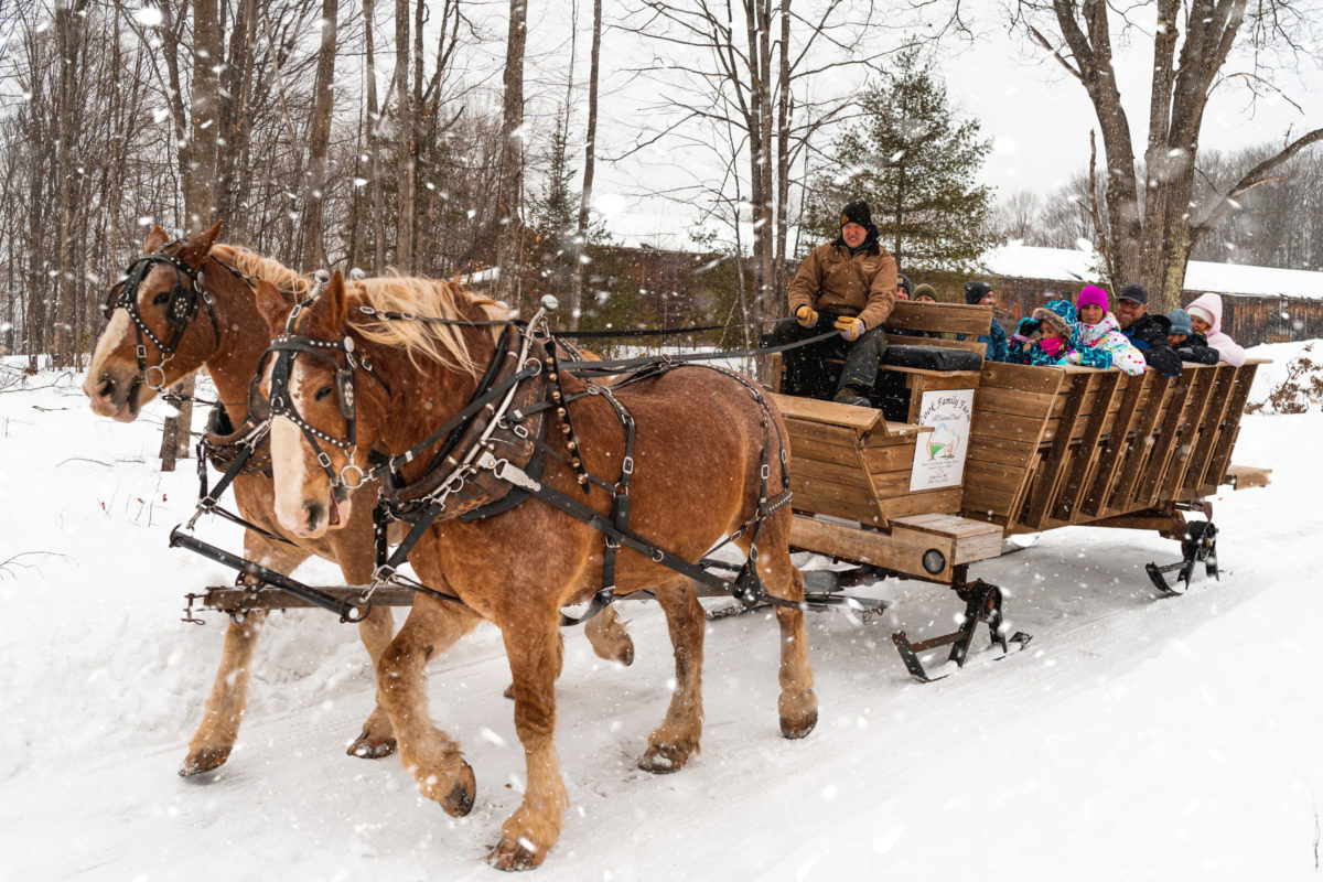 Wilderness Sleigh Ride Drive with Group