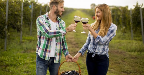 A man and a woman in flannel shirts hold a basket of grapes, each person holds a glass of red wine