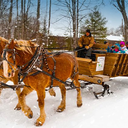 Sleigh Rides