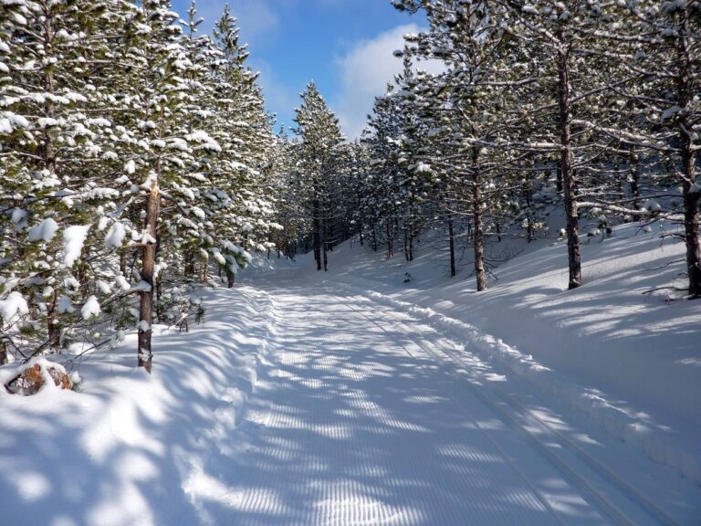 forbush corner cross country skiing