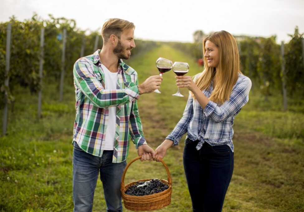 A man and a woman in flannel shirts hold a basket of grapes