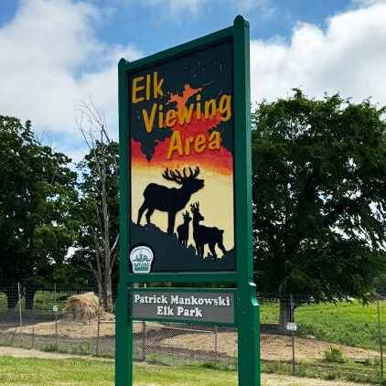 Elk viewing Michigan