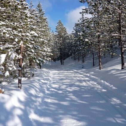 forbush corner cross country skiing