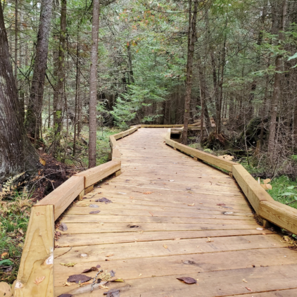 Sturgeon River Preserve